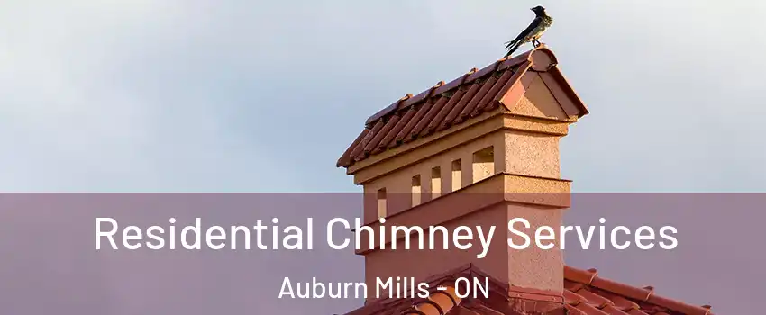  Residential Chimney Services Auburn Mills - ON