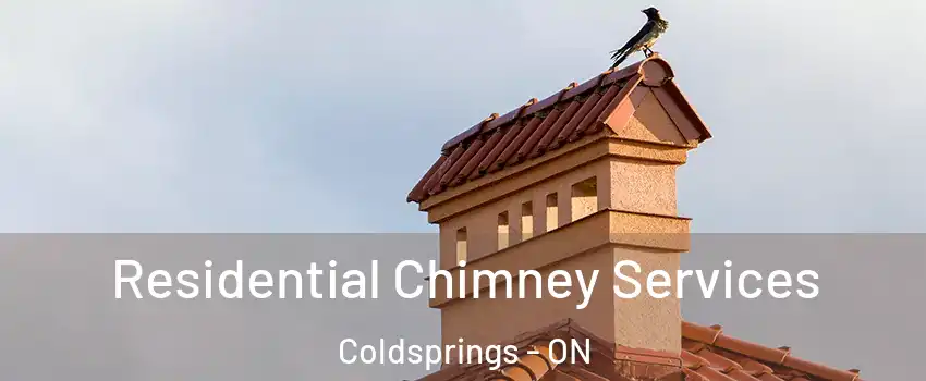  Residential Chimney Services Coldsprings - ON