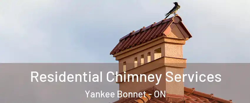 Residential Chimney Services Yankee Bonnet - ON