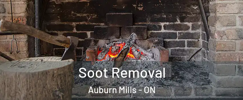 Soot Removal Auburn Mills - ON