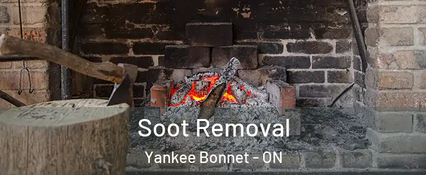 Soot Removal Yankee Bonnet - ON