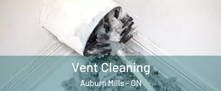  Vent Cleaning Auburn Mills - ON