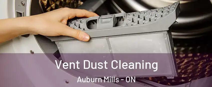  Vent Dust Cleaning Auburn Mills - ON