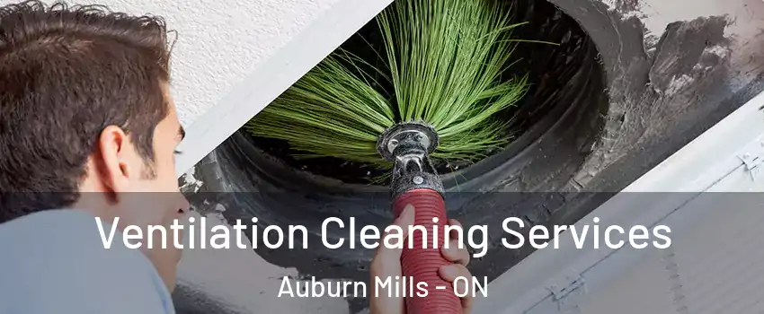  Ventilation Cleaning Services Auburn Mills - ON
