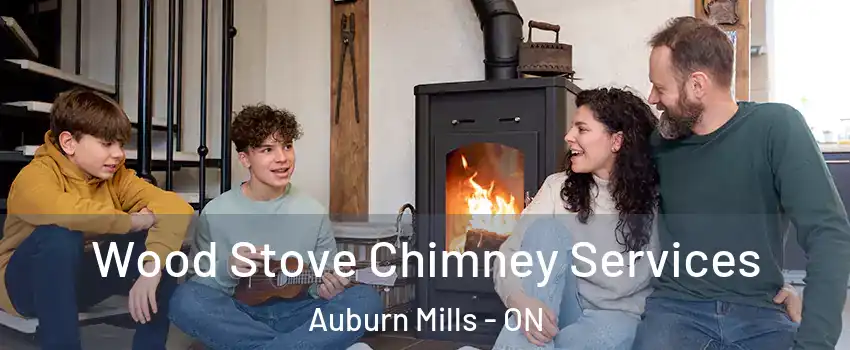  Wood Stove Chimney Services Auburn Mills - ON
