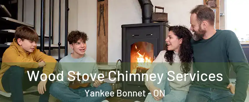  Wood Stove Chimney Services Yankee Bonnet - ON