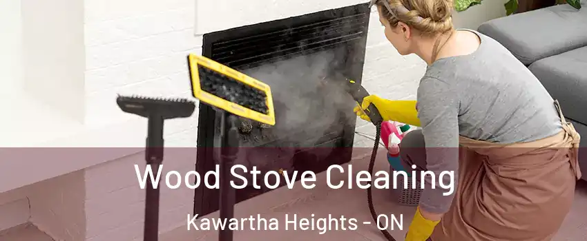  Wood Stove Cleaning Kawartha Heights - ON